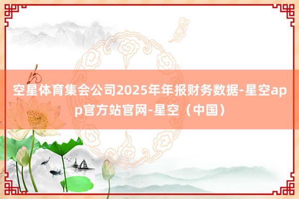 空星体育集会公司2025年年报财务数据-星空app官方站官网-星空（中国）
