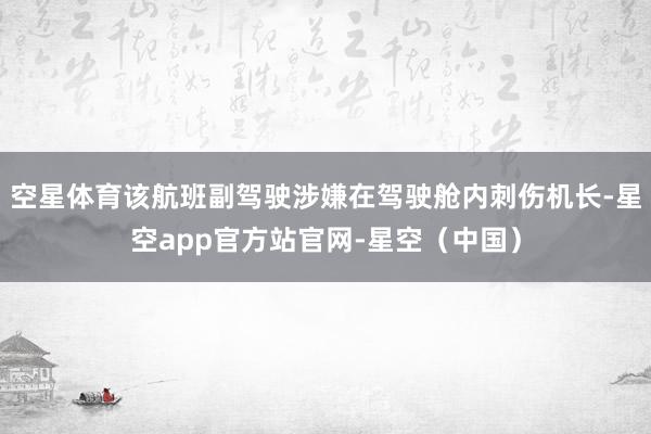 空星体育该航班副驾驶涉嫌在驾驶舱内刺伤机长-星空app官方站官网-星空（中国）