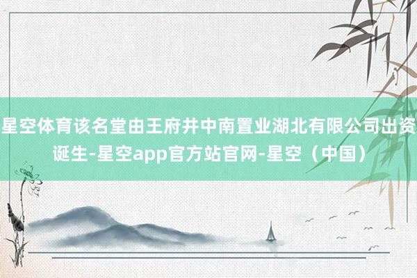 星空体育该名堂由王府井中南置业湖北有限公司出资诞生-星空app官方站官网-星空（中国）