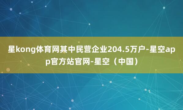 星kong体育网其中民营企业204.5万户-星空app官方站官网-星空（中国）